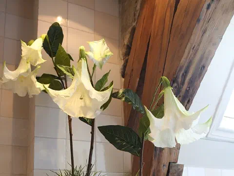 Vasen mit Blumen im Dachgeschoss